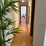 公寓 Charming As Marias Flat Near The 托雷维耶哈